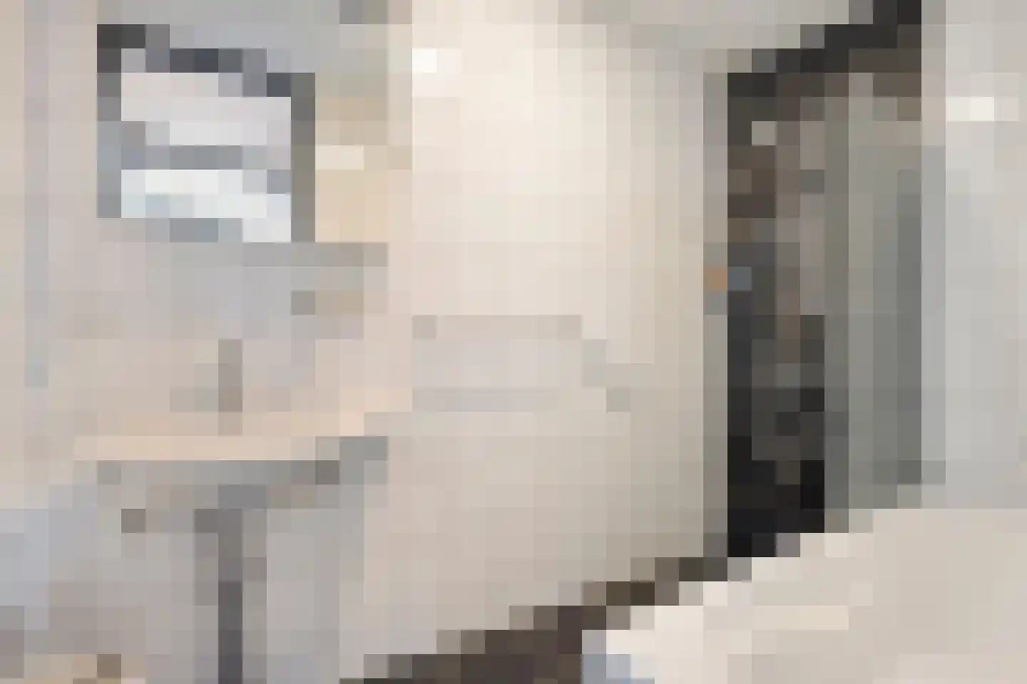 het Schar 11 Steenwijk thumbnail 29