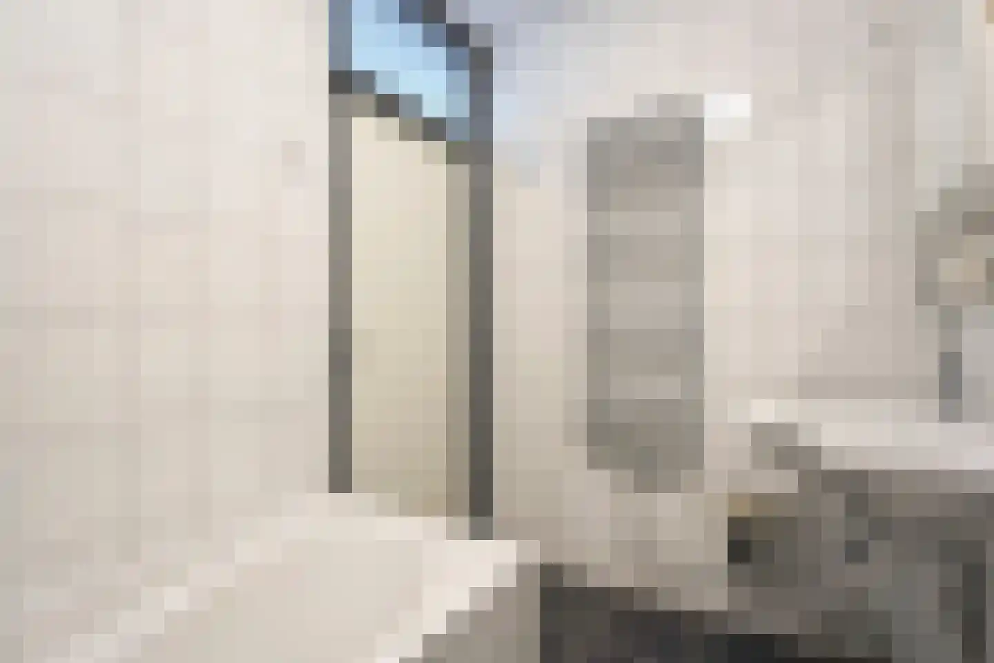 het Schar 11 Steenwijk thumbnail 31