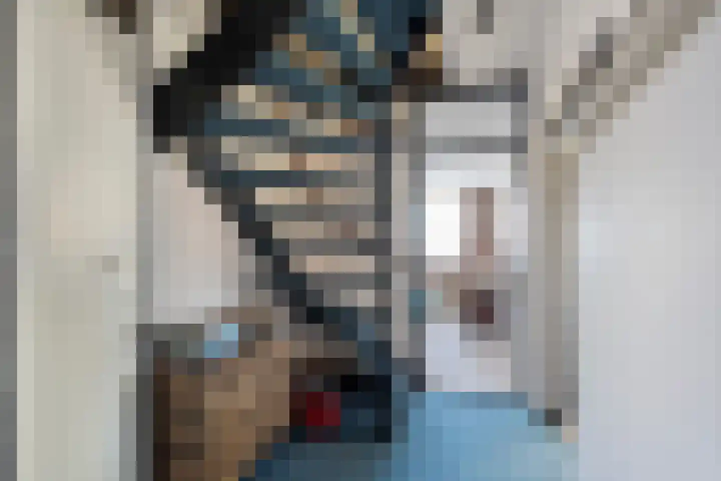 het Schar 11 Steenwijk thumbnail 37