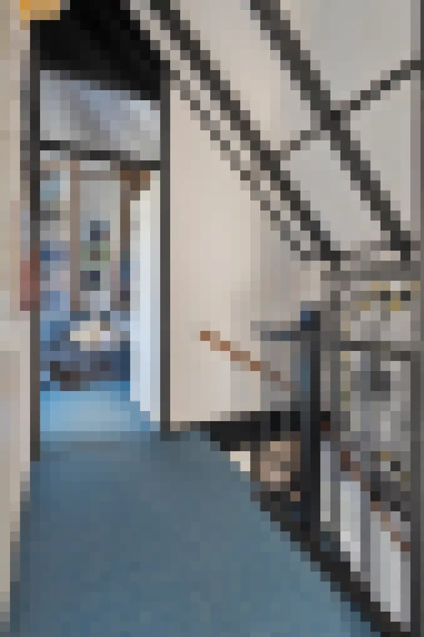 het Schar 11 Steenwijk thumbnail 38