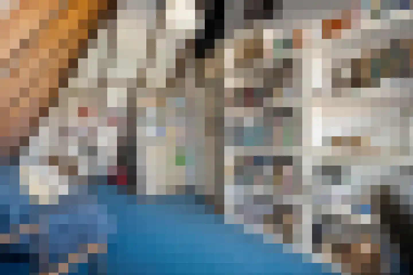 het Schar 11 Steenwijk thumbnail 41