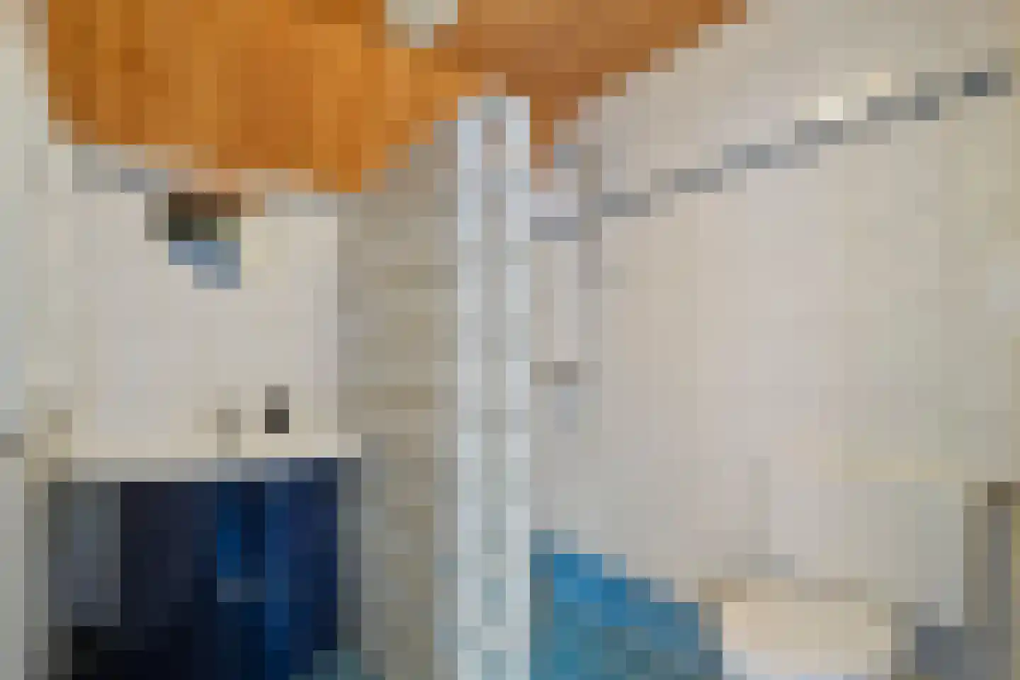 het Schar 11 Steenwijk thumbnail 43