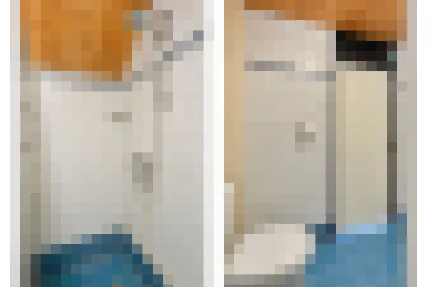 het Schar 11 Steenwijk thumbnail 44