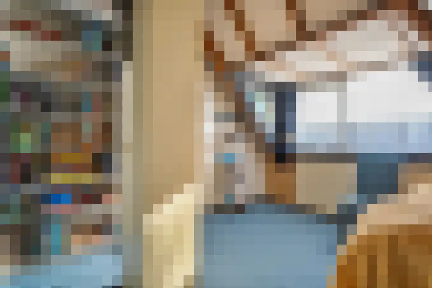 het Schar 11 Steenwijk thumbnail 47