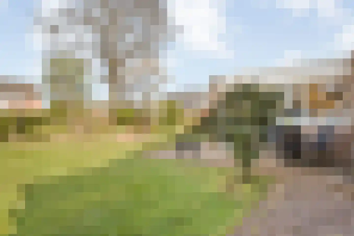 het Schar 11 Steenwijk thumbnail 50
