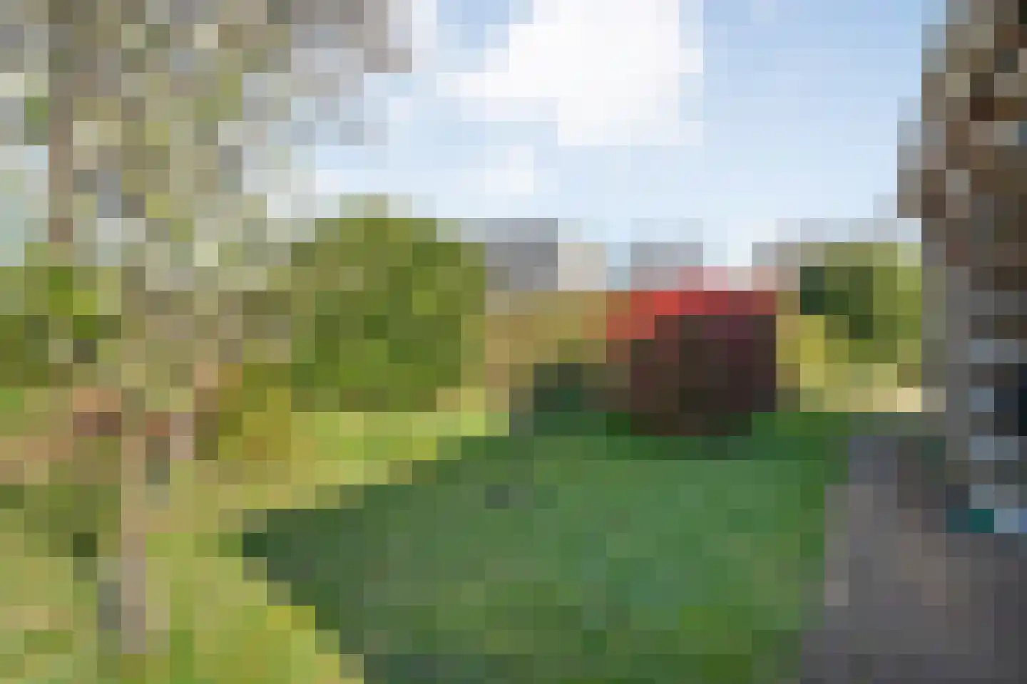 het Schar 11 Steenwijk thumbnail 57