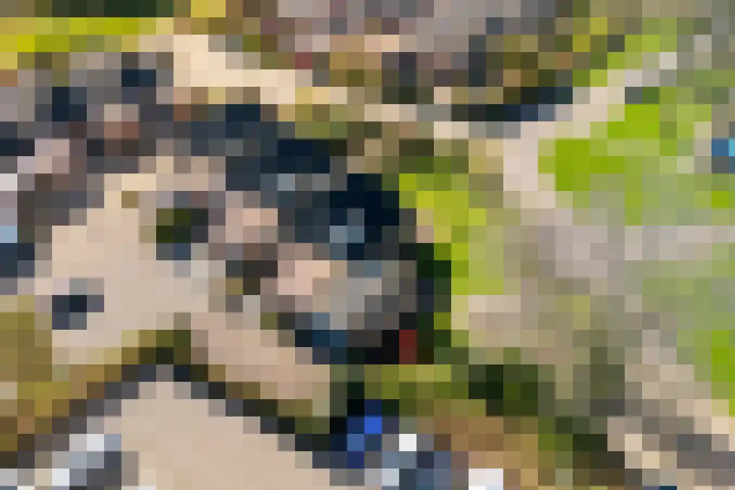 het Schar 11 Steenwijk thumbnail 63