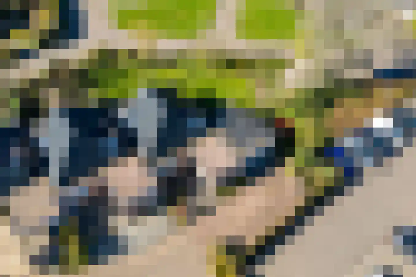 het Schar 11 Steenwijk thumbnail 7