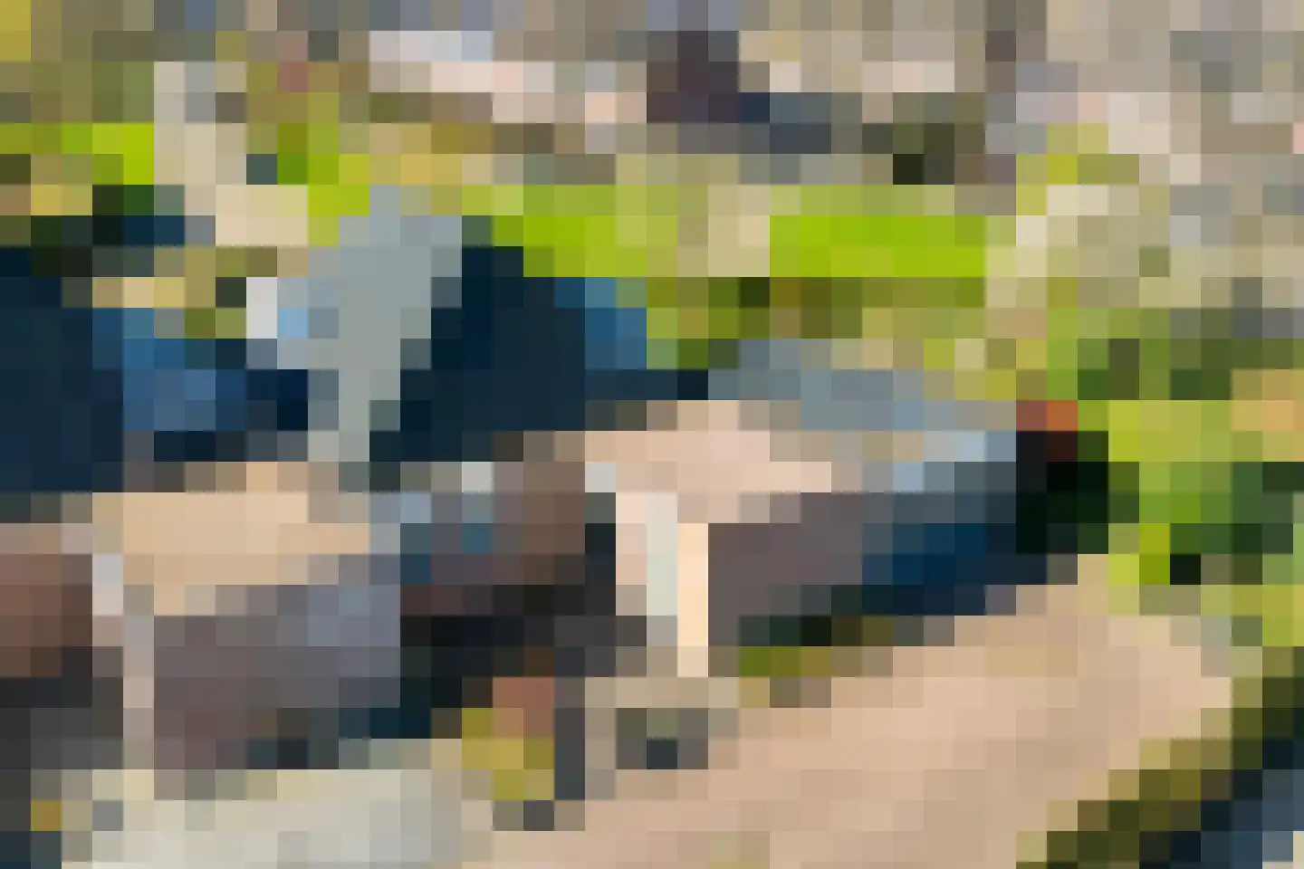 het Schar 11 Steenwijk thumbnail 8