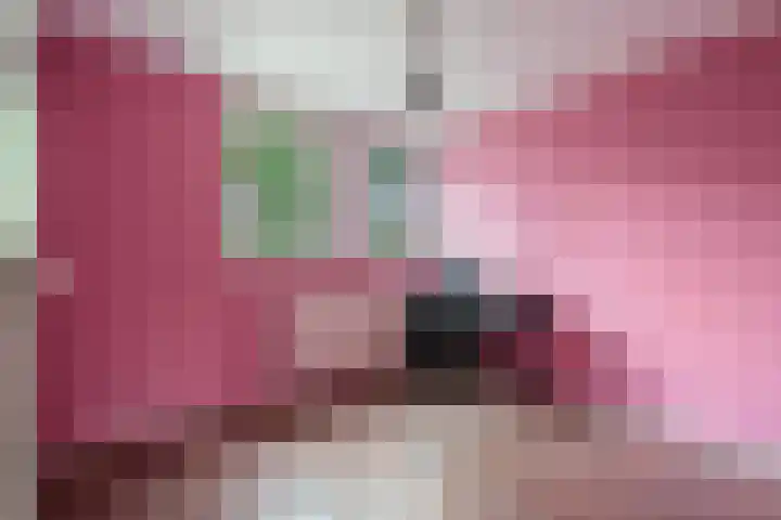het Schar 128 Steenwijk thumbnail 10