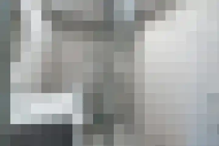 het Schar 128 Steenwijk thumbnail 18