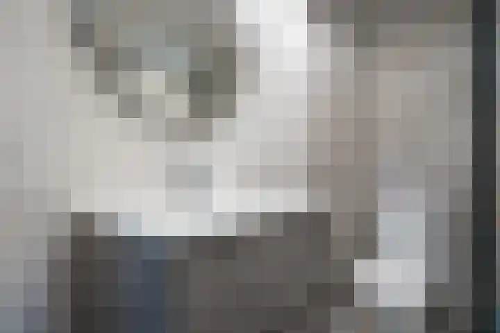 het Schar 128 Steenwijk thumbnail 19