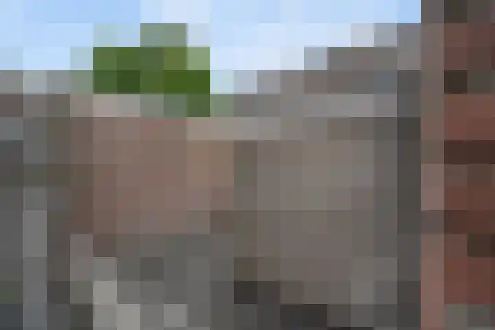 het Schar 128 Steenwijk thumbnail 29