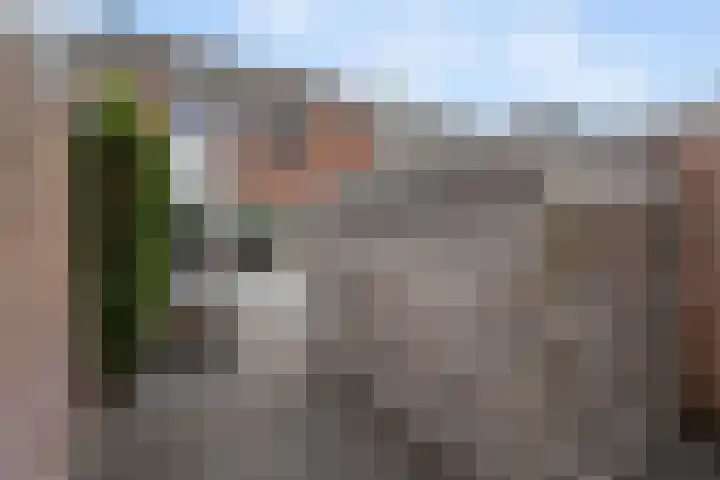 het Schar 128 Steenwijk thumbnail 31