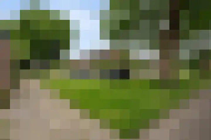 het Schar 128 Steenwijk thumbnail 37