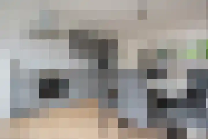 het Schar 128 Steenwijk thumbnail 6
