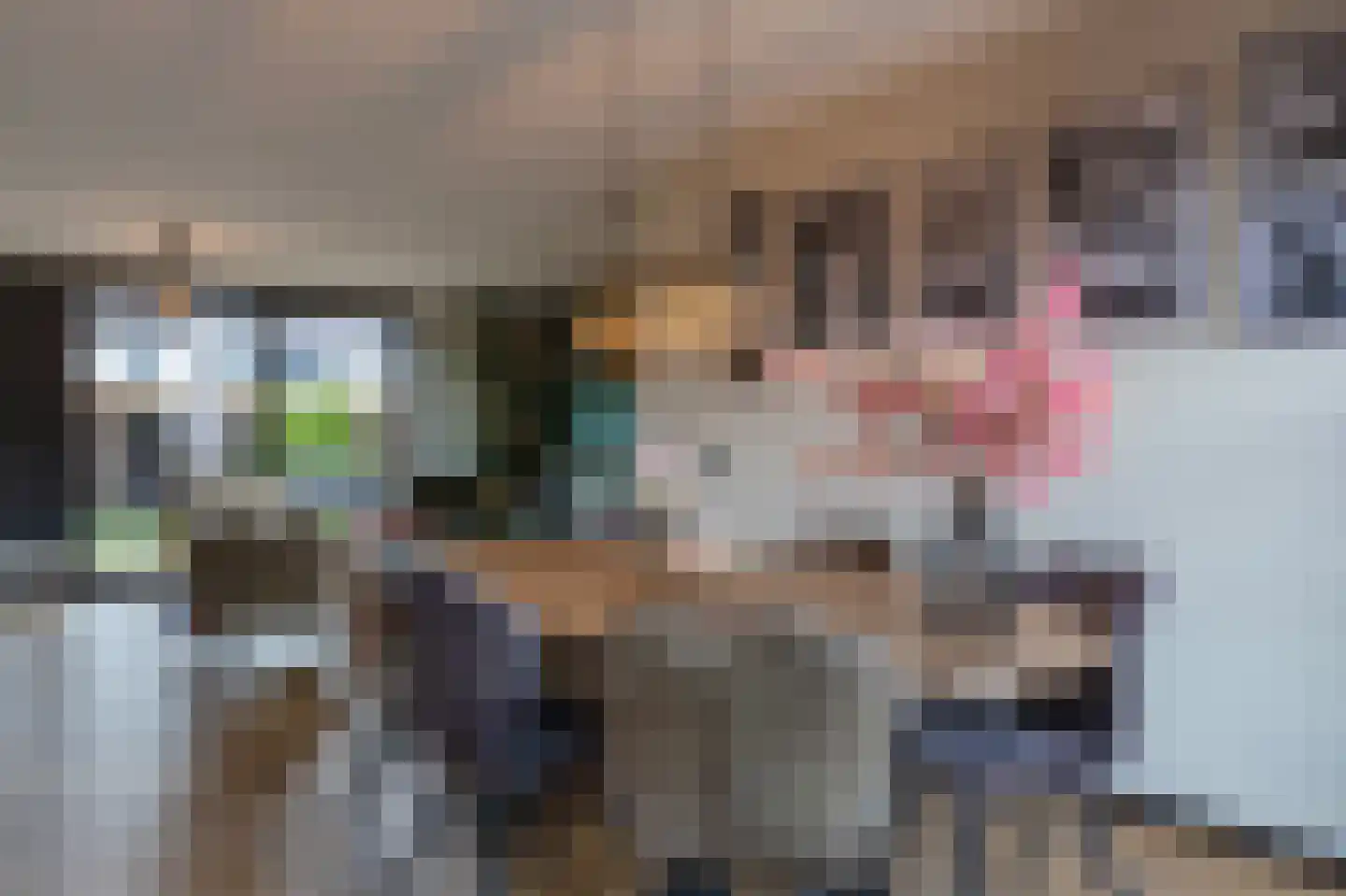 het Schar 22 Steenwijk thumbnail 15