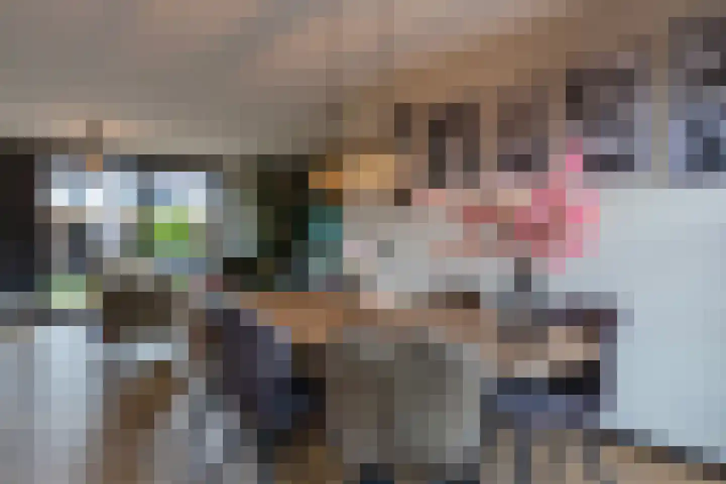 het Schar 22 Steenwijk thumbnail 16