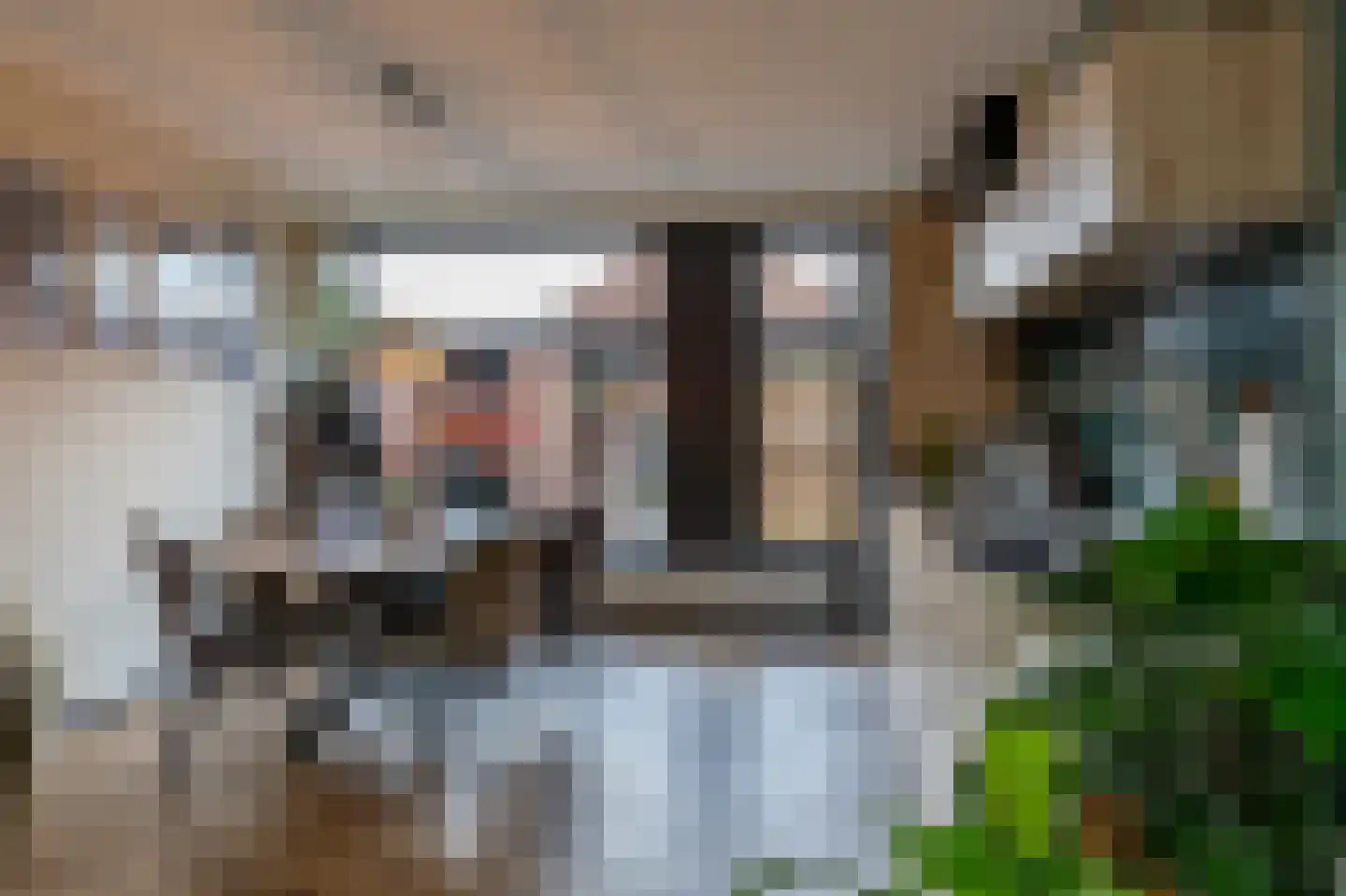 het Schar 22 Steenwijk thumbnail 18