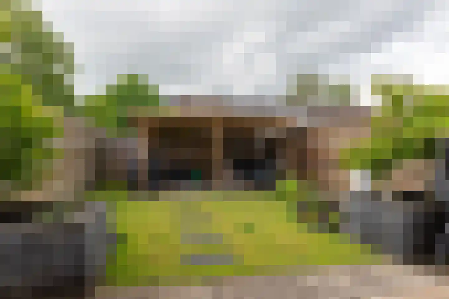 het Schar 22 Steenwijk thumbnail 38