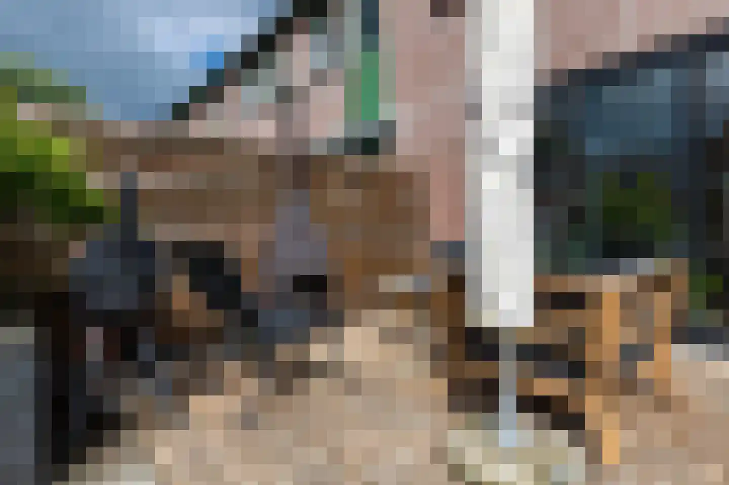 het Schar 22 Steenwijk thumbnail 42