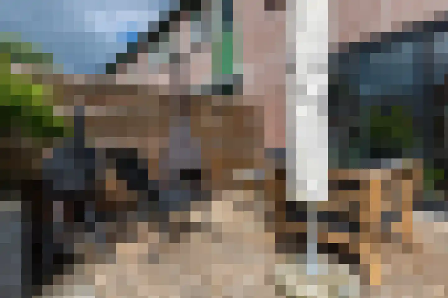 het Schar 22 Steenwijk thumbnail 43