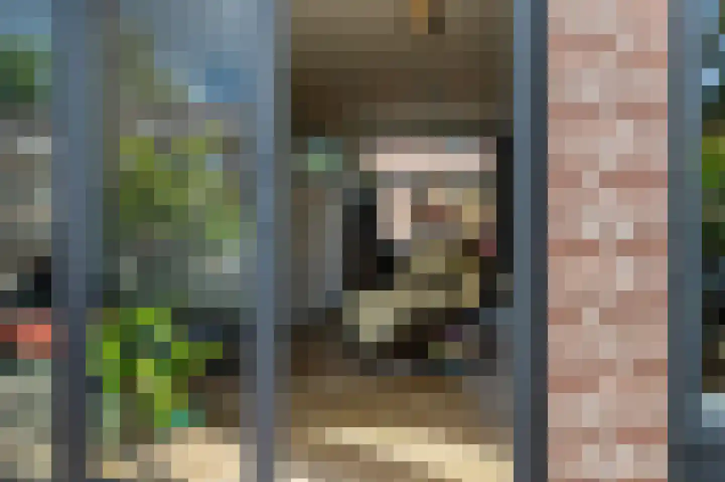 het Schar 22 Steenwijk thumbnail 43