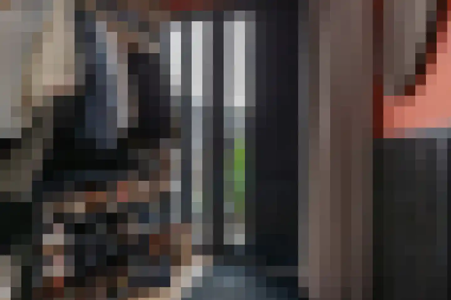 het Schar 22 Steenwijk thumbnail 6