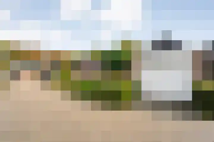het Schar 25 Steenwijk thumbnail 10