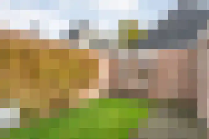 het Schar 25 Steenwijk thumbnail 12