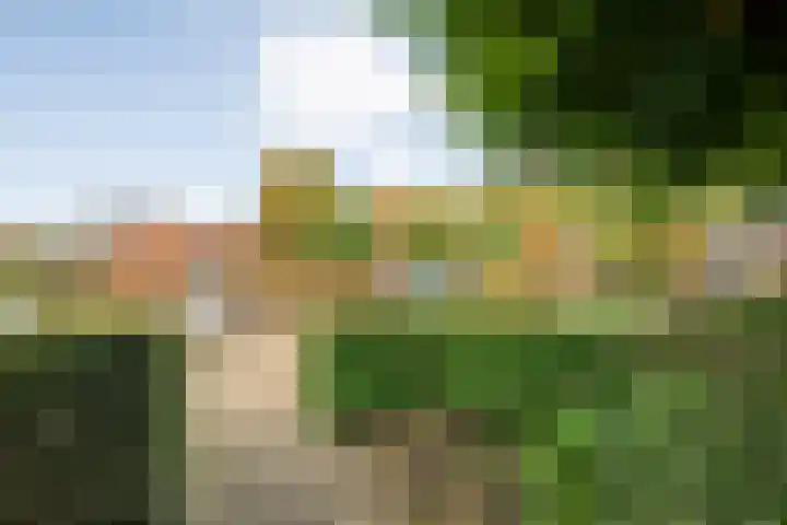 het Schar 25 Steenwijk thumbnail 14