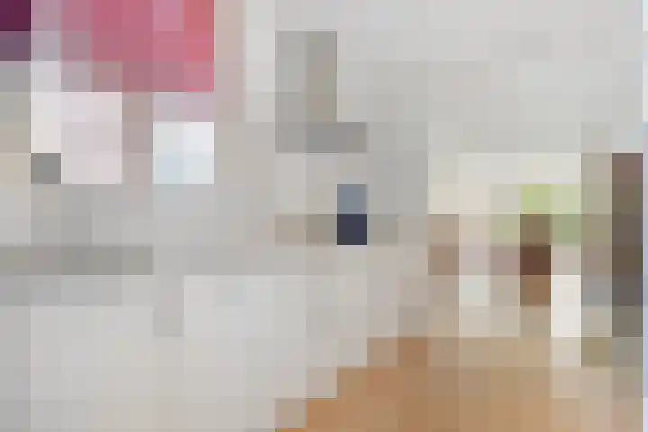 het Schar 25 Steenwijk thumbnail 25