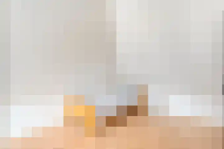 het Schar 25 Steenwijk thumbnail 41