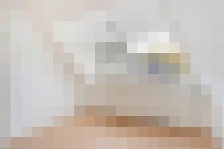 het Schar 25 Steenwijk thumbnail 43
