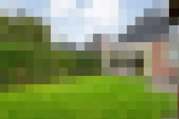 het Schar 25 Steenwijk thumbnail 47