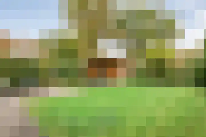 het Schar 25 Steenwijk thumbnail 48