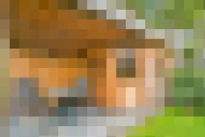 het Schar 25 Steenwijk thumbnail 49
