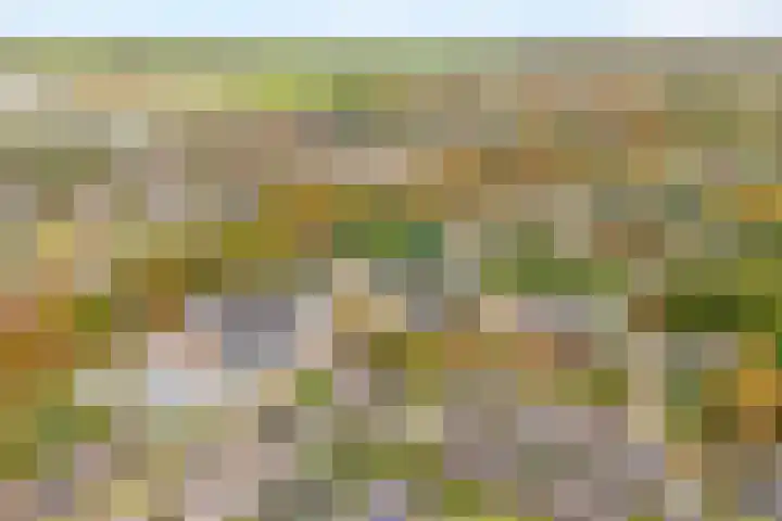 het Schar 25 Steenwijk thumbnail 5