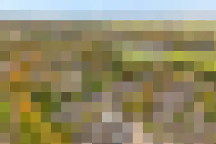 het Schar 25 Steenwijk thumbnail 50