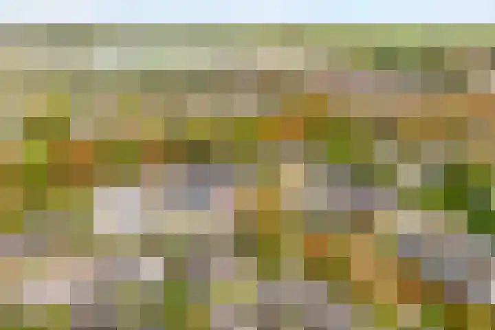 het Schar 25 Steenwijk thumbnail 51
