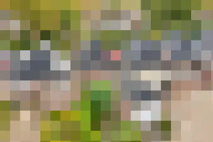 het Schar 25 Steenwijk thumbnail 6
