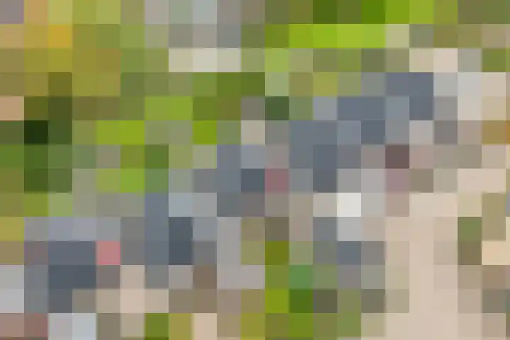het Schar 25 Steenwijk thumbnail 7