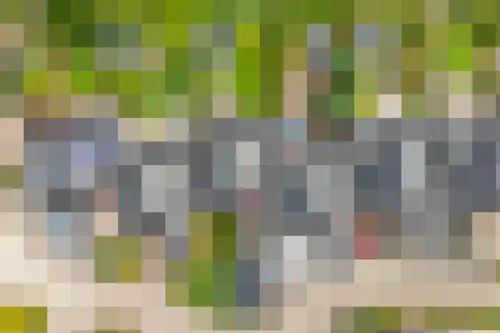 het Schar 25 Steenwijk thumbnail 8