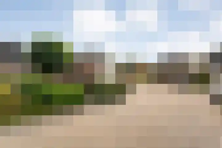 het Schar 25 Steenwijk thumbnail 9