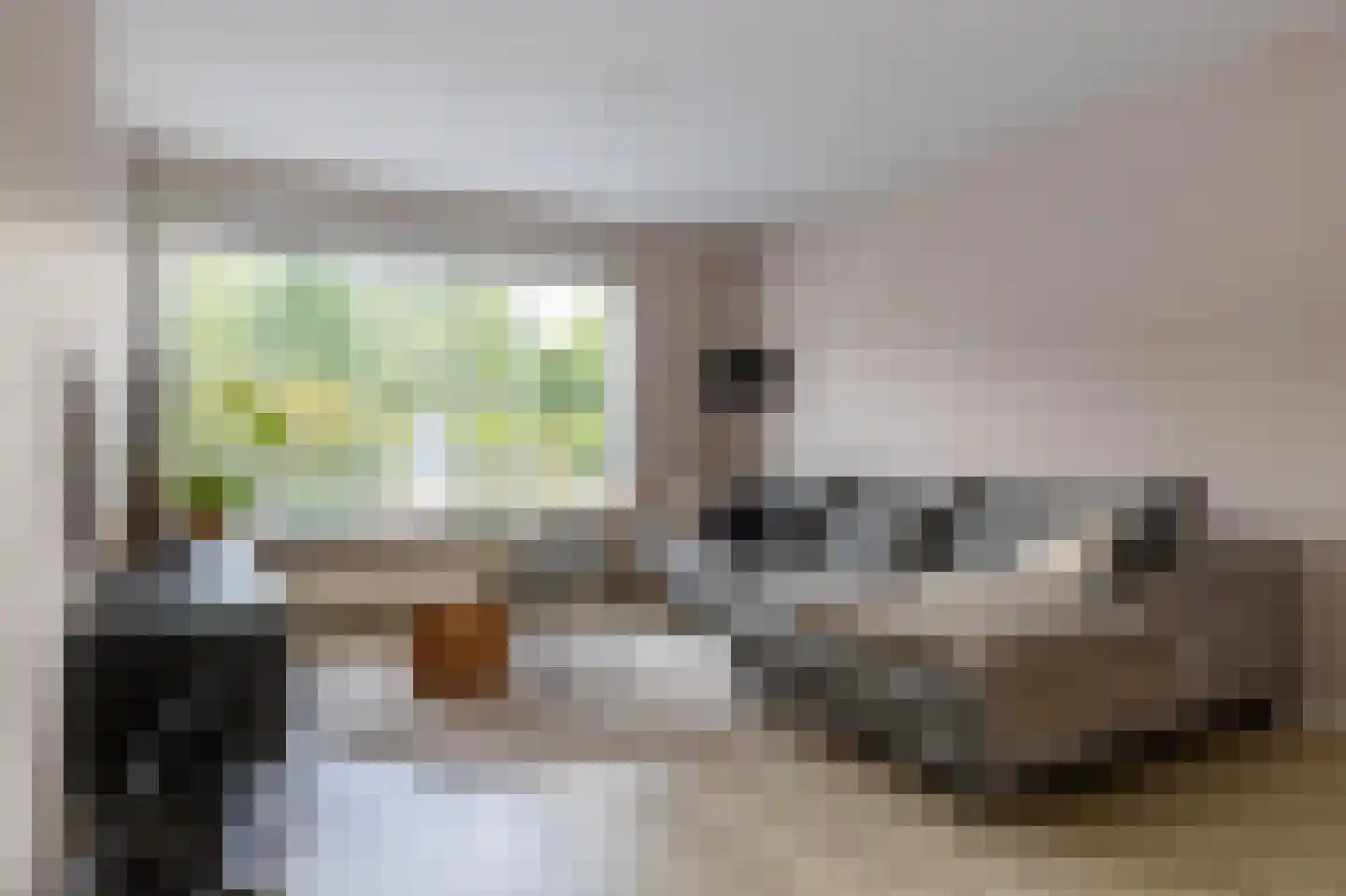 het Schar 46 Steenwijk thumbnail 10
