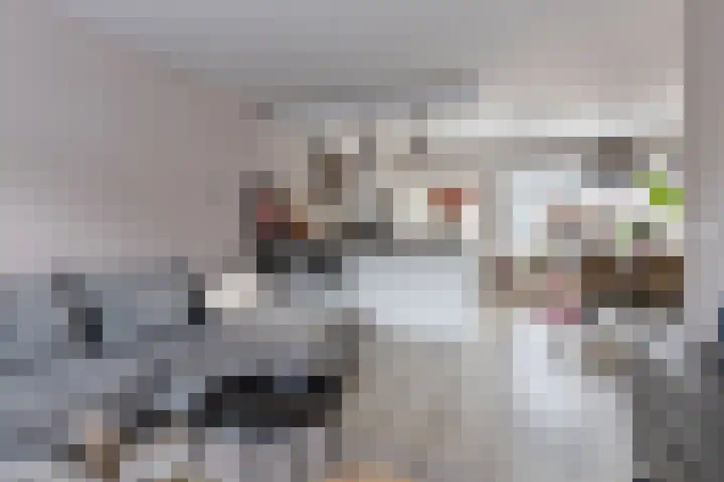 het Schar 46 Steenwijk thumbnail 12