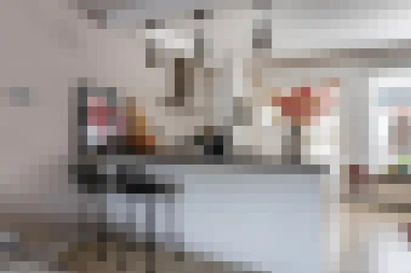 het Schar 46 Steenwijk thumbnail 13