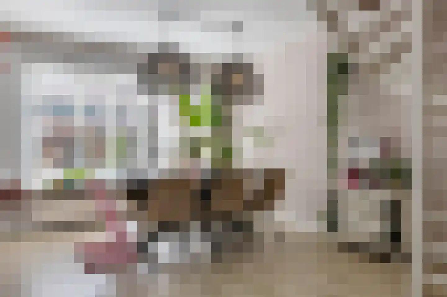 het Schar 46 Steenwijk thumbnail 14
