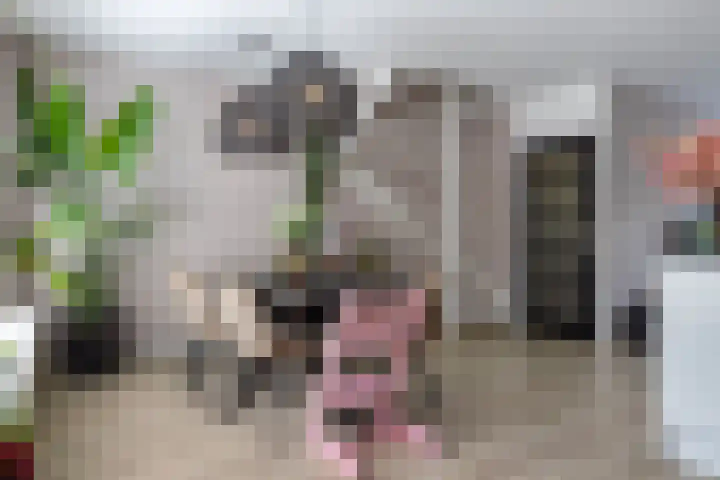 het Schar 46 Steenwijk thumbnail 18