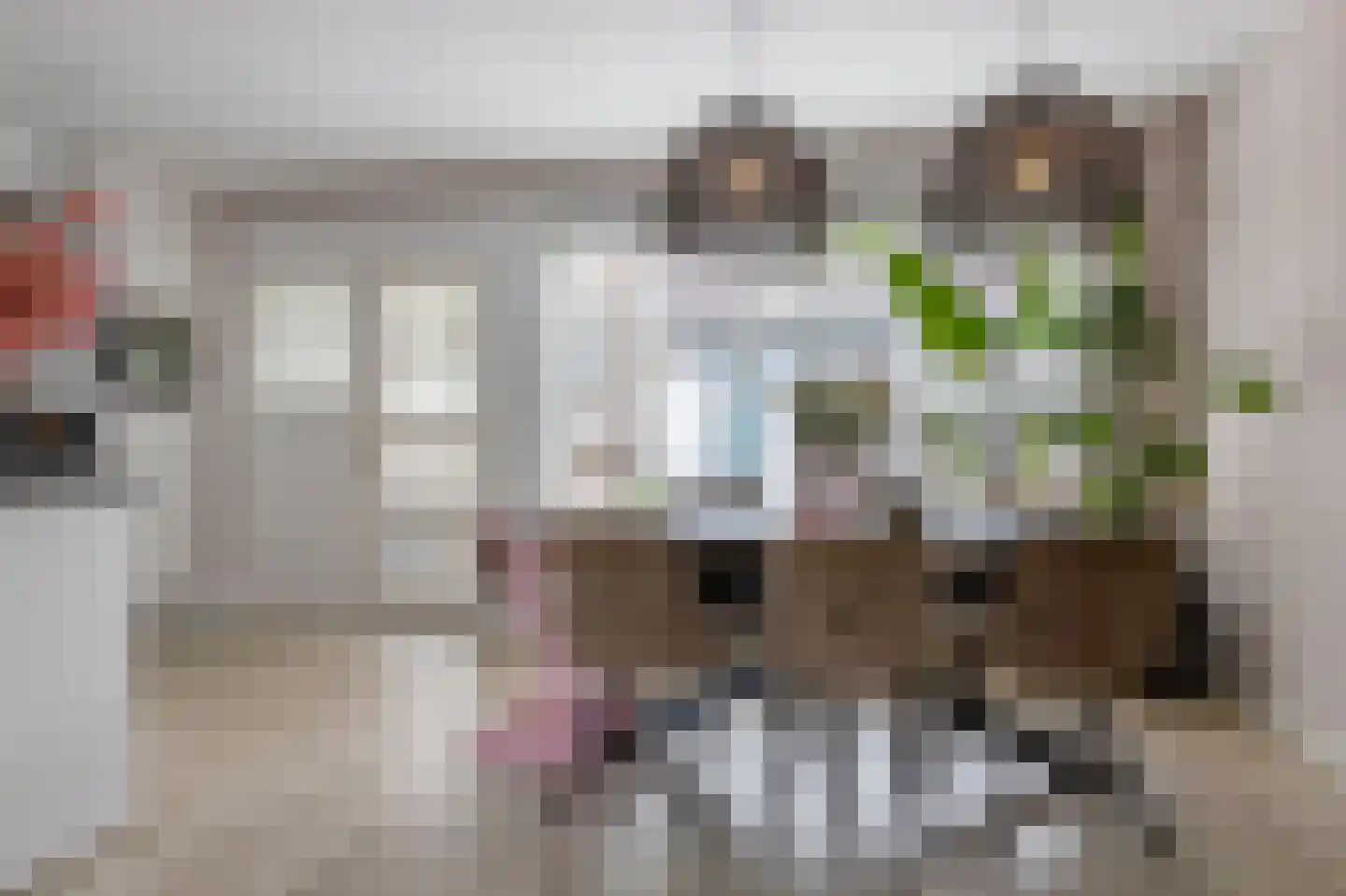 het Schar 46 Steenwijk thumbnail 19